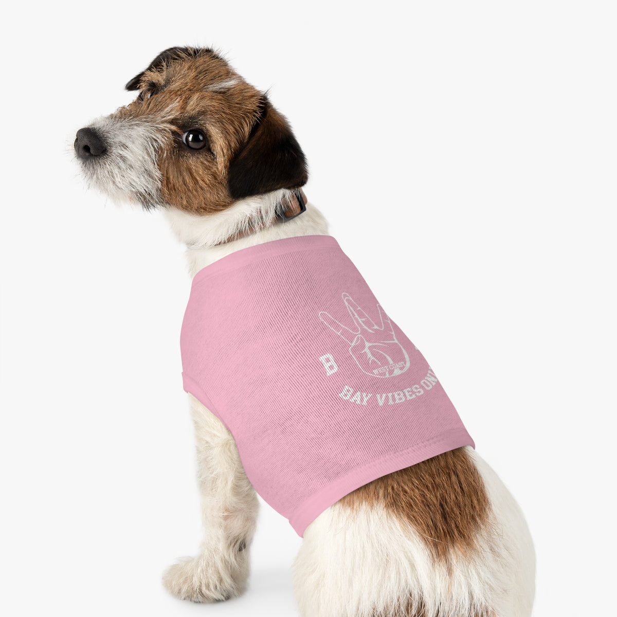 Bay Vibes Only Pet Tee