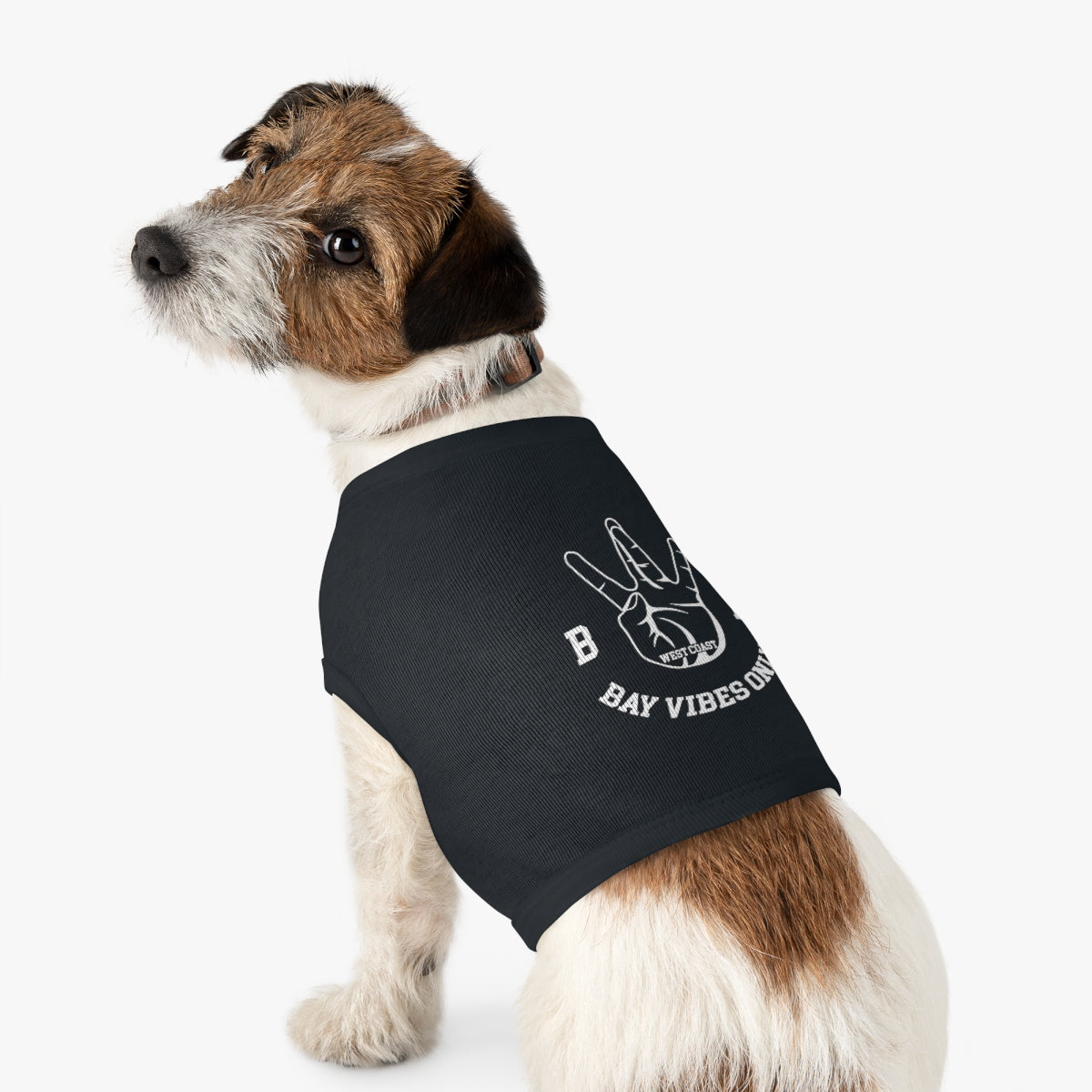 Bay Vibes Only Pet Tee